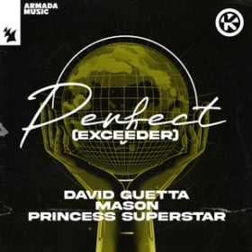 DAVID GUETTA & MASON VS. PRINCESS SUPERSTAR - PERFECT (EXCEEDER)